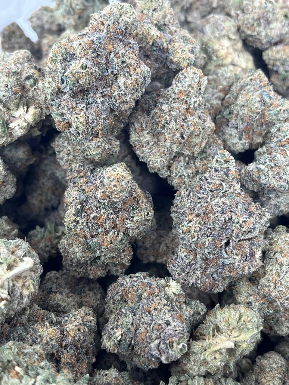 Moroccan Peaches