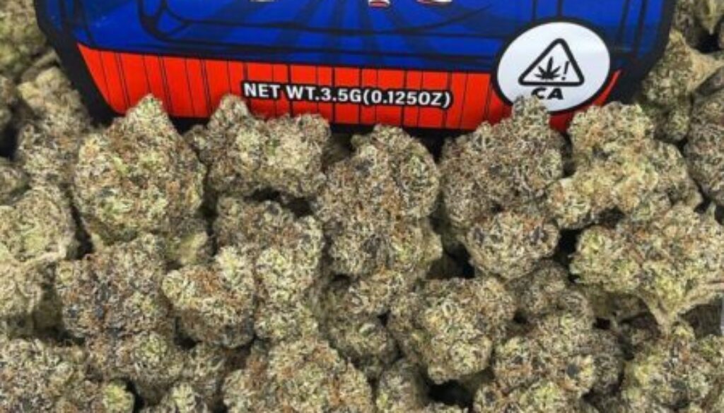 Buy Bubble Gum Gelato